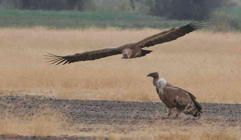 YOG_4507-DeNoiseAI-standard