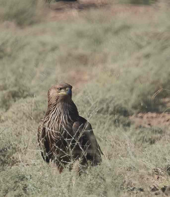 YOG_5491-DeNoiseAI-standard