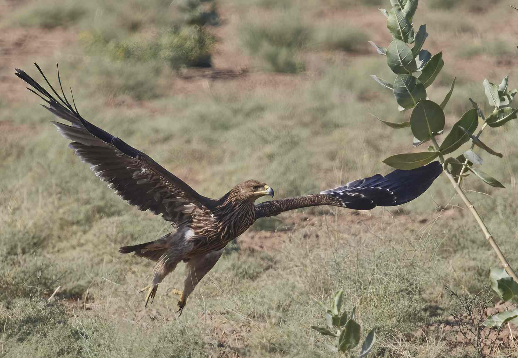 YOG_5509 1-DeNoiseAI-standard