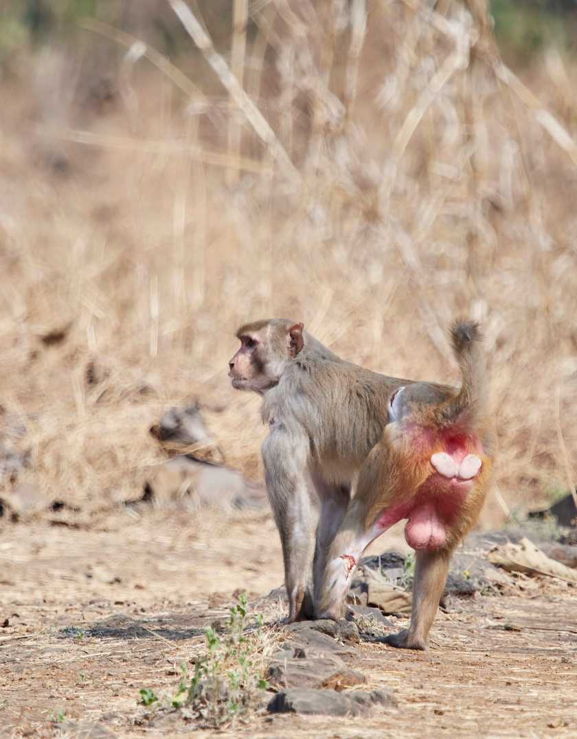 YOG_2842-DeNoiseAI-standard