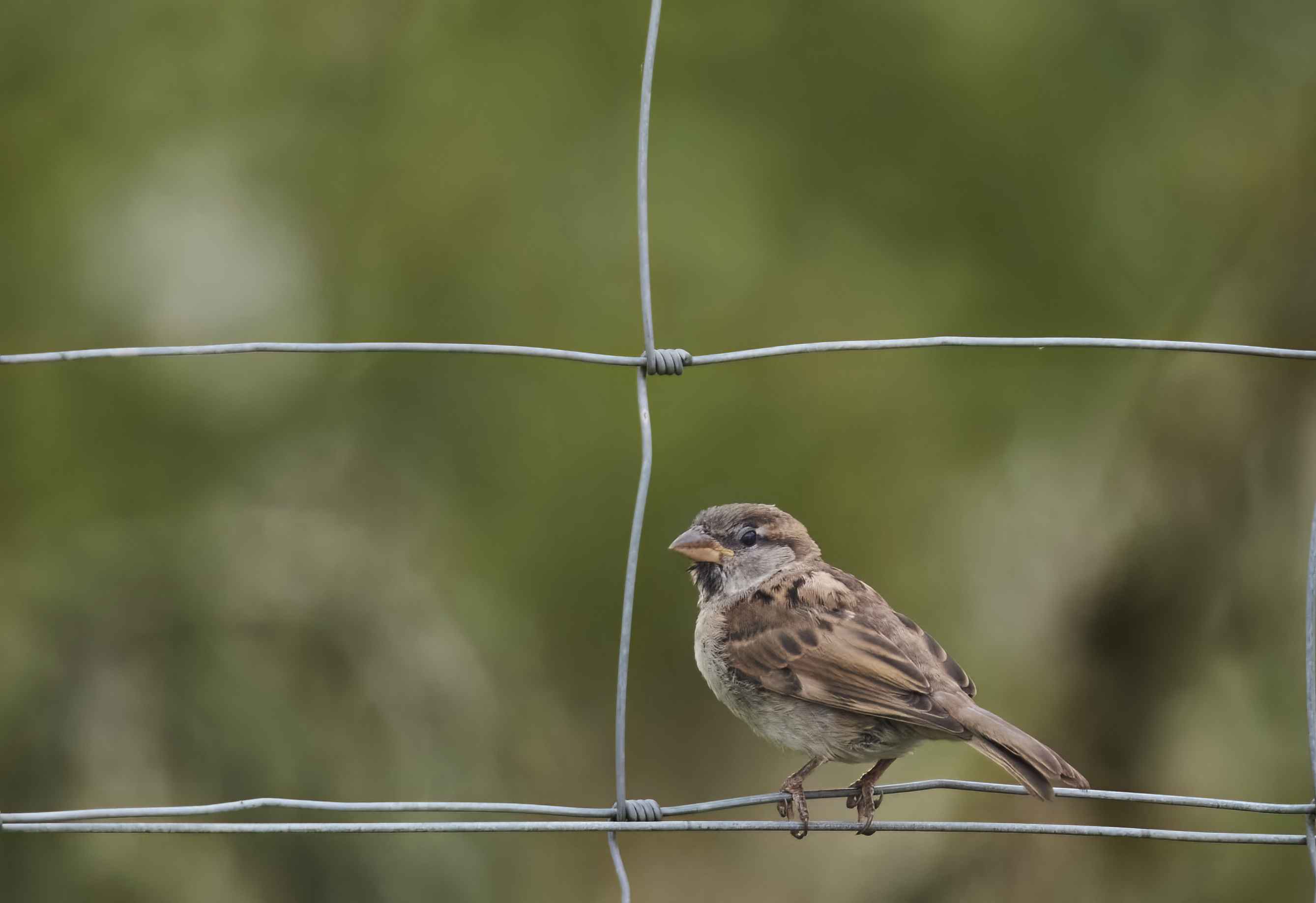 YOG_6936-DeNoiseAI-low-light