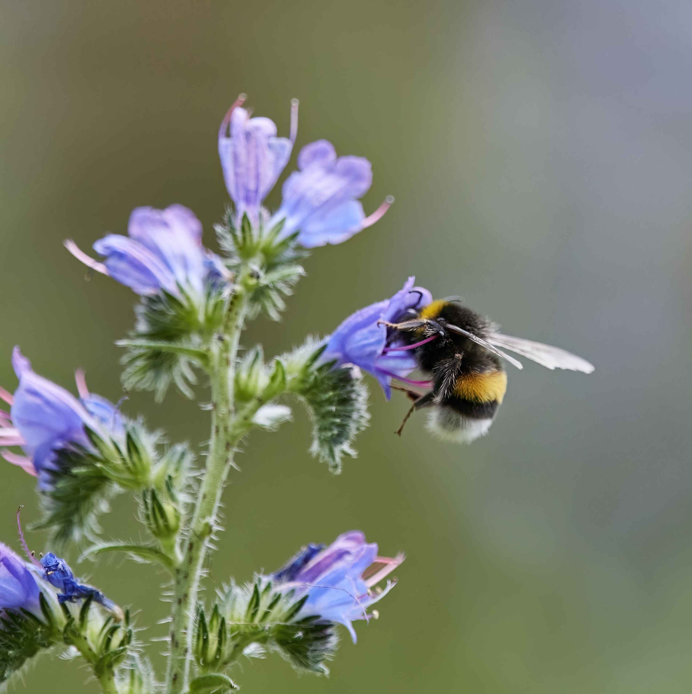 YOG_7260-DeNoiseAI-low-light