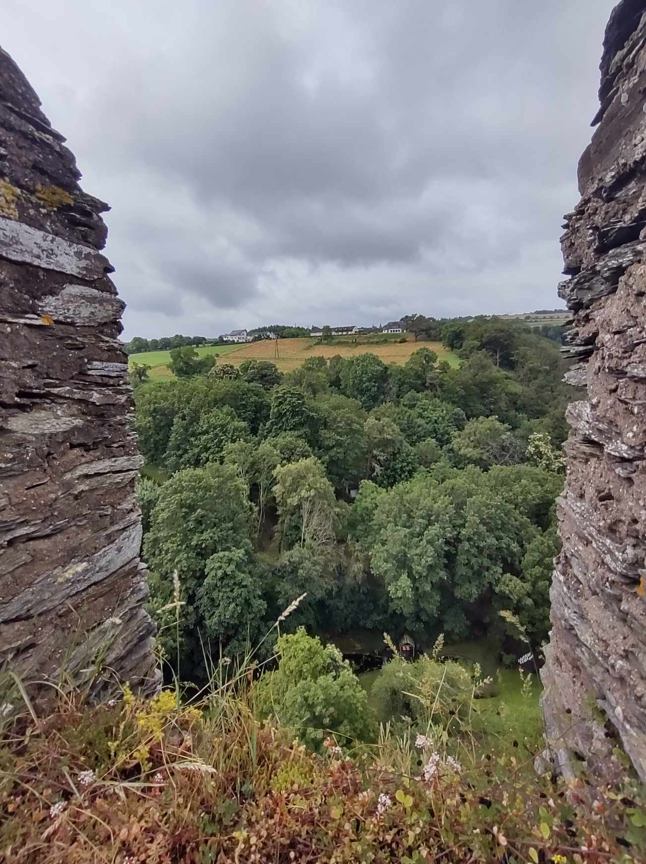 462542366_1768654767008211_3351899130542502509_n