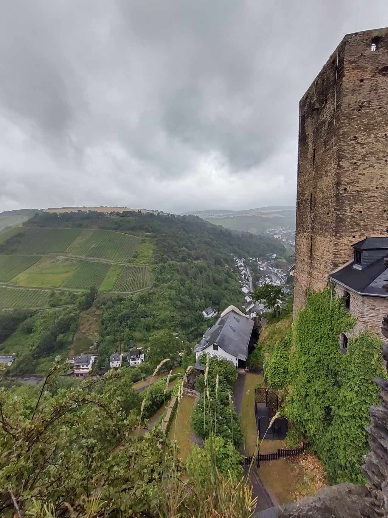 462545493_1869793076762687_153895541406190011_n