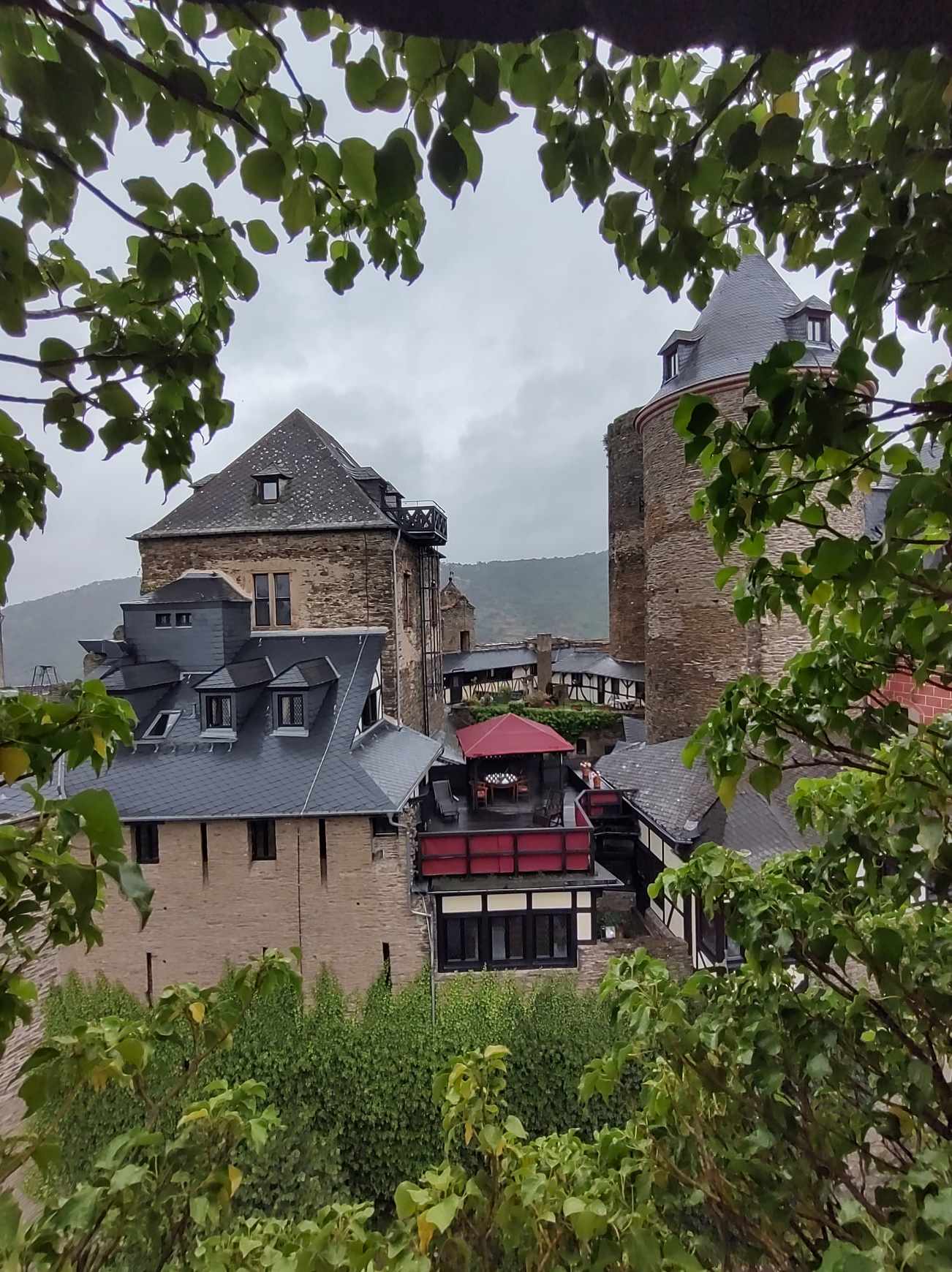 465631229_793858952849006_8861938990052337059_n