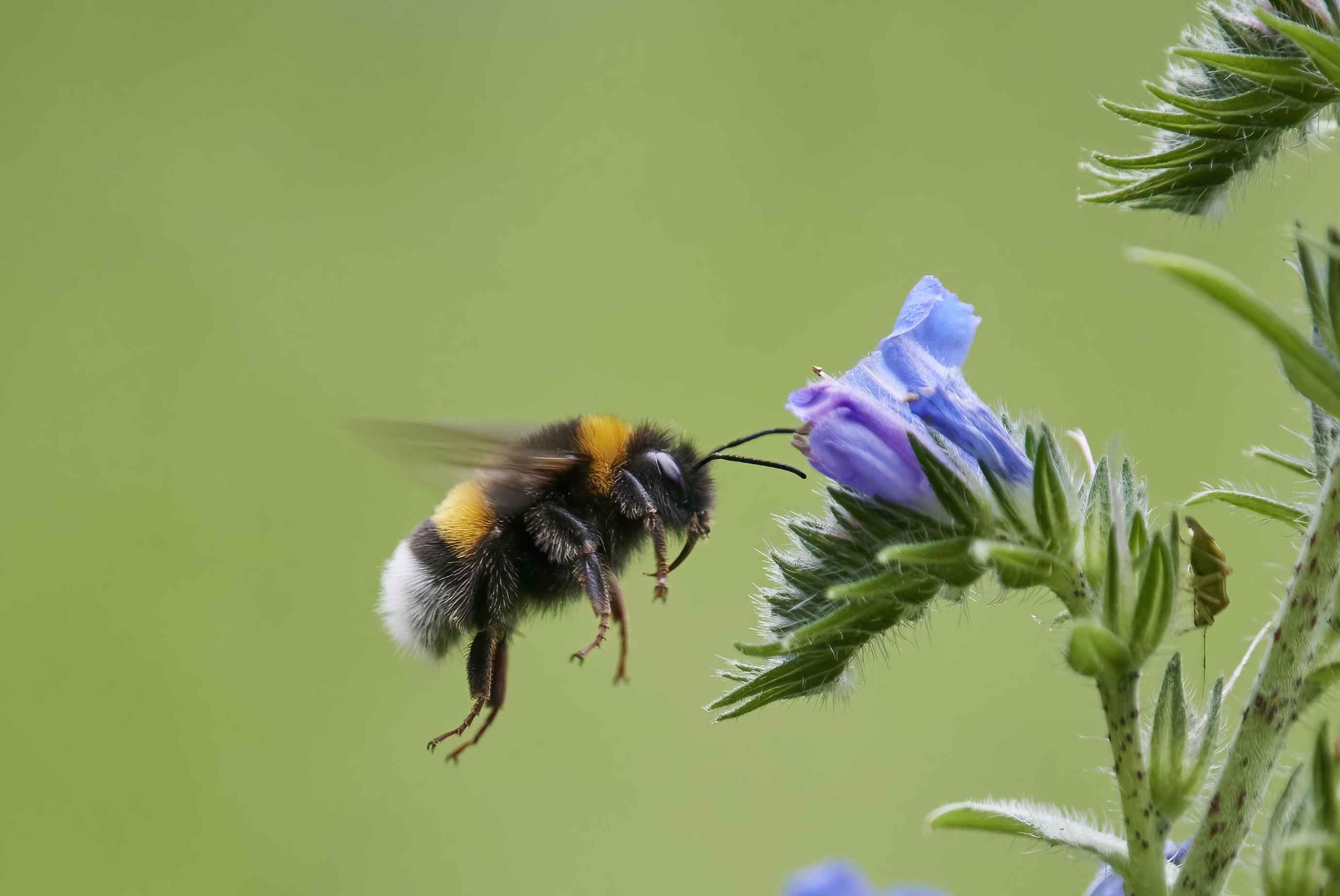 YOG_7269-DeNoiseAI-standard